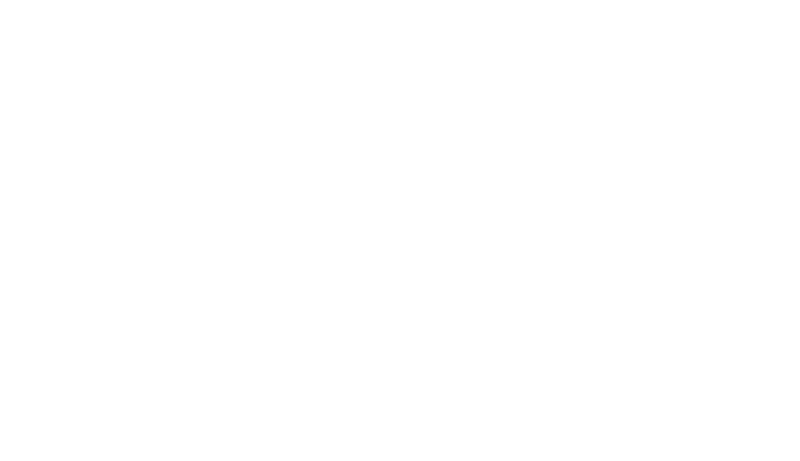 whitehat-security